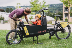 carvelo